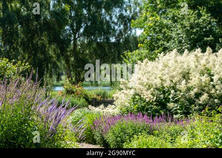 Norfolk UK. Juli 2021. Der Millennium Garden im Pensthorpe Natural Park, entworfen von Piet Oudolf, in Fakenham, North Norfolk. Stockfoto