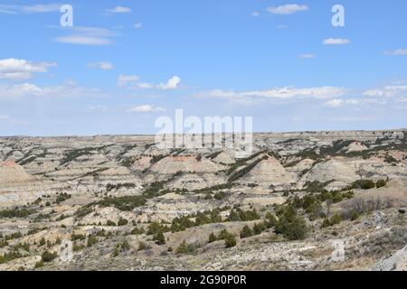 Theodore Roosevelt National Park und Painted Canyon in den Plains of North Dakota (ft. Bison und alte geologische Merkmale) im amerikanischen Westen Stockfoto
