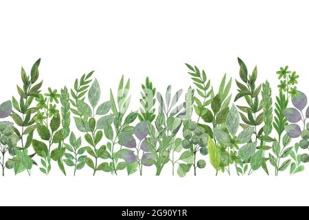 Grüne Blätter Zweige horizontal nahtlose Grenze Aquarell-Illustration, Laub Anordnung, perfekt für Karten, Einladungen, Stoff mit Kopieplatz Stockfoto