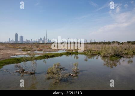 Die beeindruckende Skyline der Innenstadt von Dubai mit dem höchsten Gebäude der Welt, dem Burj Khalifa, das vom Naturschutzgebiet Ras al Khor aus gesehen wird. Stockfoto