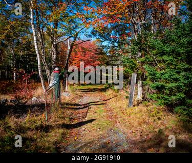 Das lange vergessene Tor führt im Herbst zu einer verlassenen Farm auf der Insel mcnabs Stockfoto