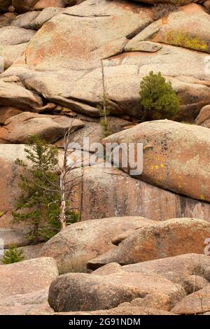 Felsbrocken entlang des Vedauwoo Glen Trail, Medicine Bow-Routt National Forest, Wyoming Stockfoto