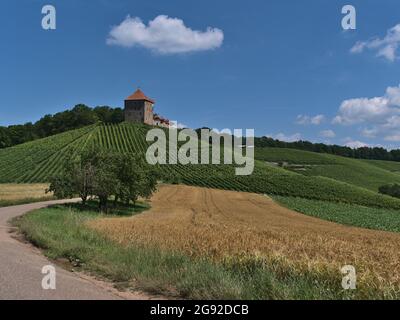 Schmale Landstraße, die durch goldene Gerstenfelder mit der historischen mittelalterlichen Burg Burg Wildeck in Baden-Württemberg führt. Stockfoto