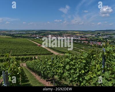 Ländliche Landschaft mit Blick durch grüne Weinberge im Sommer mit Dorf Abstatt in Baden-Württemberg, Deutschland in einem beliebten Weinbaugebiet. Stockfoto