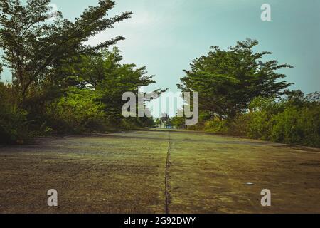 Eine Betonstraße neben einem Baum Stockfoto