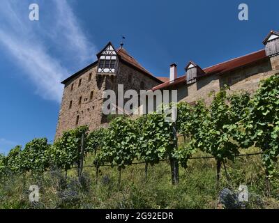 Low-Angle-Ansicht der historischen Burg Burg Wildeck (gebaut ca. 12. Jahrhundert) mit Steinmauer in Abstatt, Baden-Württemberg, Deutschland am sonnigen Sommertag. Stockfoto