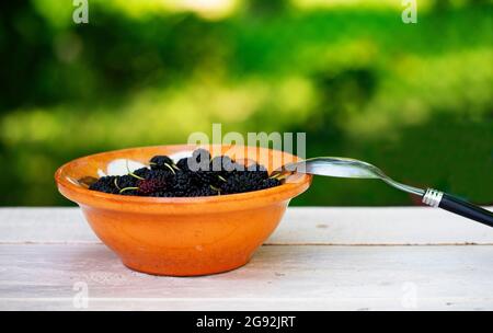 Schüssel mit Haferflocken mit Maulbeere auf einem Holztisch im Garten. Selektiver Fokus. Stockfoto