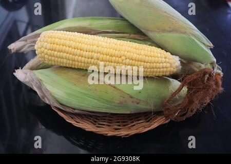 Roher Mais unreifer Maiskolben Stockfoto