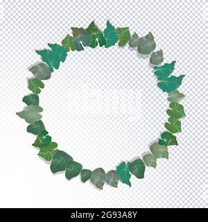 Vektor-rundes Muster mit tropischen Monstera-Blättern in verschiedenen bunten Farbtönen auf weißem Hintergrund. Exotisches botanisches Design für Textil, Tapete, w Stock Vektor