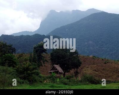 Field Hut und Reisfelder in Luang Prabang, Laos Stockfoto