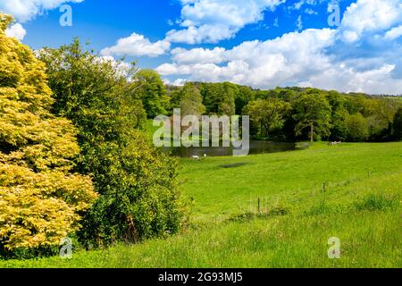 Pferde, die am See auf dem Fluss Cerne grasen und durch die Minterne House Gardens, Dorset, England, Großbritannien, fahren Stockfoto