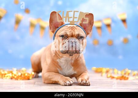 Französische Bulldogge mit Geburtstagsteil Stirnband mit Wörtern Cheers vor verschwommenem blauem Hintergrund mit Girlanden und Partystreamern Stockfoto