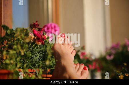 Weibliche Beine mit roten Nägeln, während auf dem Balkon mit Blumen entspannen, Sommerzeit, Stadtgebiet Stockfoto