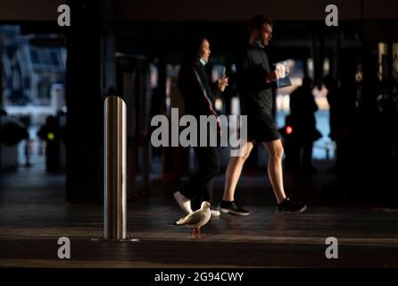 Sydney, Australien. Juli 2021. People Walk on a Street in Sydney, Australien, 24. Juli 2021. Da der Pandemieausbruch im australischen Bundesstaat New South Wales (NSW) weiter ansteigt, erklärten die staatlichen Behörden den Ausbruch am Freitag zu einem nationalen Notfall und forderten die Umleitung der nationalen Impfstofflieferungen. Quelle: Bai Xuefei/Xinhua/Alamy Live News Stockfoto