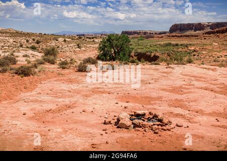 Landschaftsbilder im Tal der Götter, in der Nähe von Bears Ears National Stockfoto