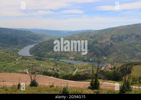 Der malerische Fluss Douro in Portugal, umgeben von sanften Hügeln und Weinbergen, spiegelt den warmen Sonnenuntergang in einer friedlichen und malerischen Landschaft wider. Stockfoto