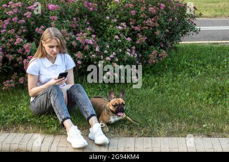 Die junge Frau sitzt im Park auf dem Gras und schaut auf das Telefon. Ein Hund sitzt daneben Stockfoto