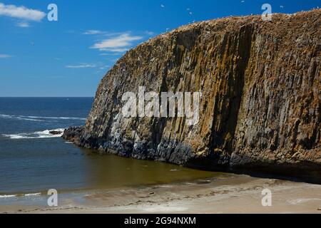 Elephant Rock, Seal Rock State Park, Oregon Stockfoto