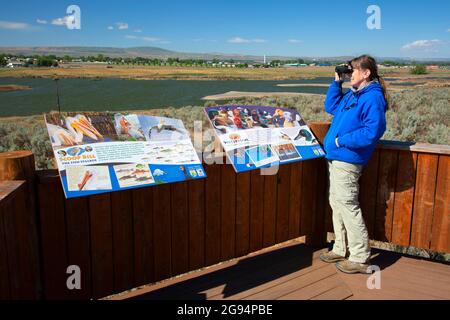 Informationstafel auf der Aussichtsplattform, McNary National Wildlife Refuge, Washington Stockfoto