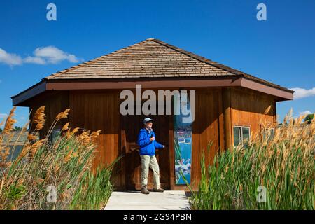 Bird Blind on Burbank Slough, McNary National Wildlife Refuge, Washington Stockfoto