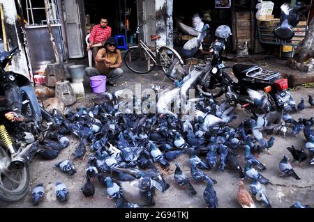 Burmesische Männer, die mit Taubenvögeln spielen und Taubenvögeln Maiskörner füttern, um Taubenvögel vor der Werkstatt im örtlichen Geschäft im Mahamuni Temple on zu ernähren Stockfoto