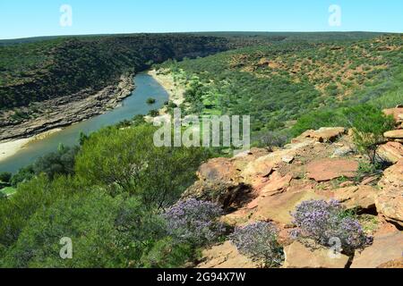 Von Nature's Window aus hat man einen Blick auf eine Flussschlucht im Westen Australiens von Kalbarri Stockfoto