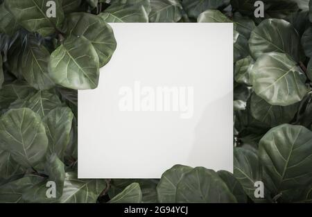 Mock up weißes Papier auf tropischen grünen Blatt Hintergrund., 3d-Modell und Illustration. Mock up weißes Papier auf tropischen grünen Blatt Hintergrund., 3d-Modell und ich Stockfoto