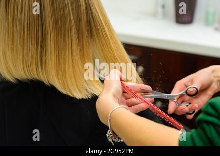 Haarpflege, Frisör schneidet die geschnittenen Enden der Haare und richtet die Länge, die Arbeit der Friseure während der globalen Coronavirus-Pandemie.neu Stockfoto