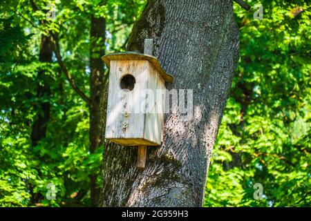 Hölzerne Vogelhaus hängend auf Baum im Stadtpark Stockfoto