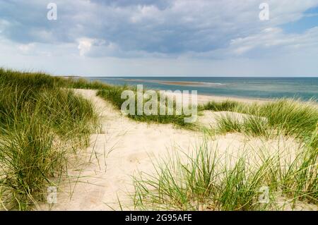 In den Sanddünen eines verlassenen Strandes in Norfolk UK wächst Marrammrasen, wobei eine Sandbank aus dem Meer kommt, wenn die Flut nachlässt. Stockfoto