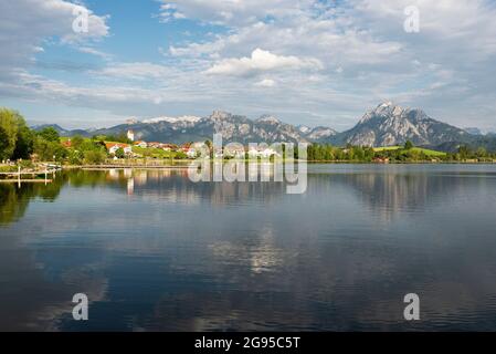 Der Hopfensee, das Dorf Hopfen und die Berge der Ammergauer Alpen leuchten in der Nachmittagssonne, Allgäu, Bayern, Deutschland Stockfoto