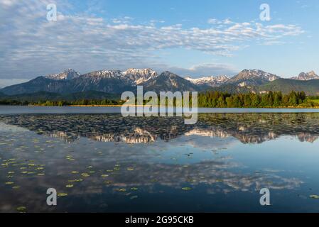 Die Berge der Tannheimer Alpen spiegeln sich im Hopfensee bei Sonnenaufgang, Allgäu, Bayern, Deutschland Stockfoto