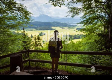 Blick über das Allgäu und die Alpen und drei Burgen (z.B. Neuschwanstein) von einem Aussichtspunkt nördlich des Hopfensees, Bayern, Deutschland Stockfoto