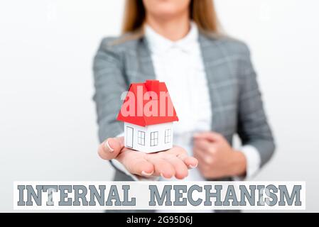 Handschrift Text Interner Mechanismus. Wort für die wichtigsten Kontrollsätze für ein Unternehmen EINE junge Dame Orbusinesswoman Holding Orpresenting Home Stockfoto