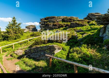 Vozka Hügel mit Felsformationen in Jeseniky Berge in der Tschechischen republik während schönen Sommertag Stockfoto