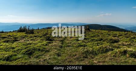 Blick nach Westen vom Keprnik-Gipfel in den Jeseniky-Bergen in Tschechien während des Sommertages mit blauem Himmel Stockfoto