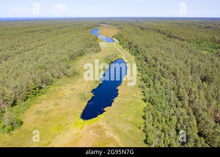 Luftaufnahme von dunkelblauen schmalen Sumpfseen im grünen Wald Stockfoto