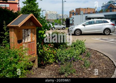 Ein Bienen- und Insektenhotel im Stadtzentrum von Southampton, das der Umwelt und der einheimischen Tierwelt helfen soll. Stockfoto