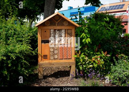 Ein Bienen- und Insektenhotel im Stadtzentrum von Southampton, das der Umwelt und der einheimischen Tierwelt helfen soll. Stockfoto