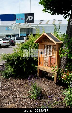 Ein Bienen- und Insektenhotel im Stadtzentrum von Southampton, das der Umwelt und der einheimischen Tierwelt helfen soll. Stockfoto