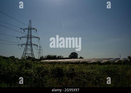 Stahlstromgitter neben Polytunnels-landwirtschaftlichen Tunneln in einer ländlichen Umgebung vor einem tiefblauen Sommerhimmel mit Kopierraum. Stockfoto