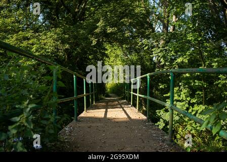 Eine eingleisige Brücke, die zu einem überwucherten Fußweg führt, mit grünen Handschienen, die Leitlinien verwenden, um die Perspektive zu erweitern. Mögliches Konzeptbild. Stockfoto