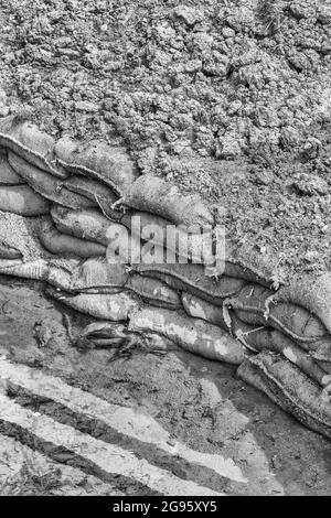 Gestapelte Jute hessische Sandsäcke, bedeckt von einer dicken Schicht Oberboden und etwas Hochwasser. Teil der Bemühungen zur Kontrolle der Wassererosion, aber nützlich für Schützengräben des 1. Weltkriegs Stockfoto