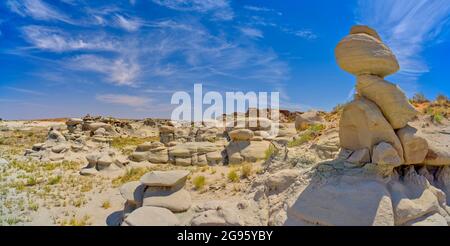 Feld der Hoodoos in Goblin Garden in den Flat Tops des Petrified Forest National Park Arizona. Stockfoto