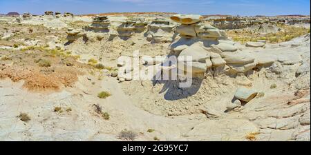 Feld der Hoodoos in Goblin Garden in den Flat Tops des Petrified Forest National Park Arizona. Stockfoto