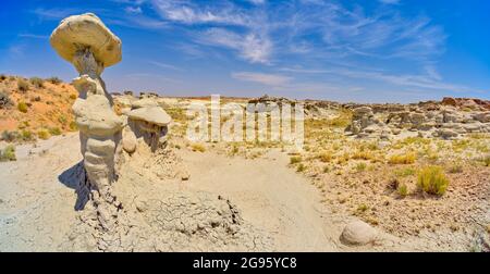 Feld der Hoodoos in Goblin Garden in den Flat Tops des Petrified Forest National Park Arizona. Stockfoto