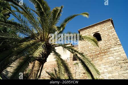 Die historische und schöne Alcazaba Festung in der Stadt Malaga, Andalusien. Die Wände und Türme des maurischen Denkmal, mit einer Palme in der Stockfoto