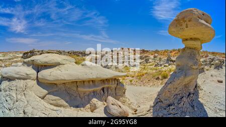 Feld der Hoodoos in Goblin Garden in den Flat Tops des Petrified Forest National Park Arizona. Stockfoto