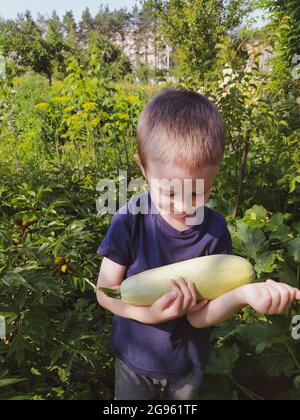 Junge lächelt und schaut auf frisches Pflanzenmark im Garten Stockfoto