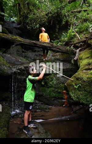 Junge Jungen erkunden die britische Landschaft am Loamhole Waterfall in Shropshire England. Kinder erkunden die Natur Großbritannien Britisches Abenteuer Stockfoto